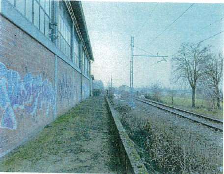 immagine annuncio 2 di 12