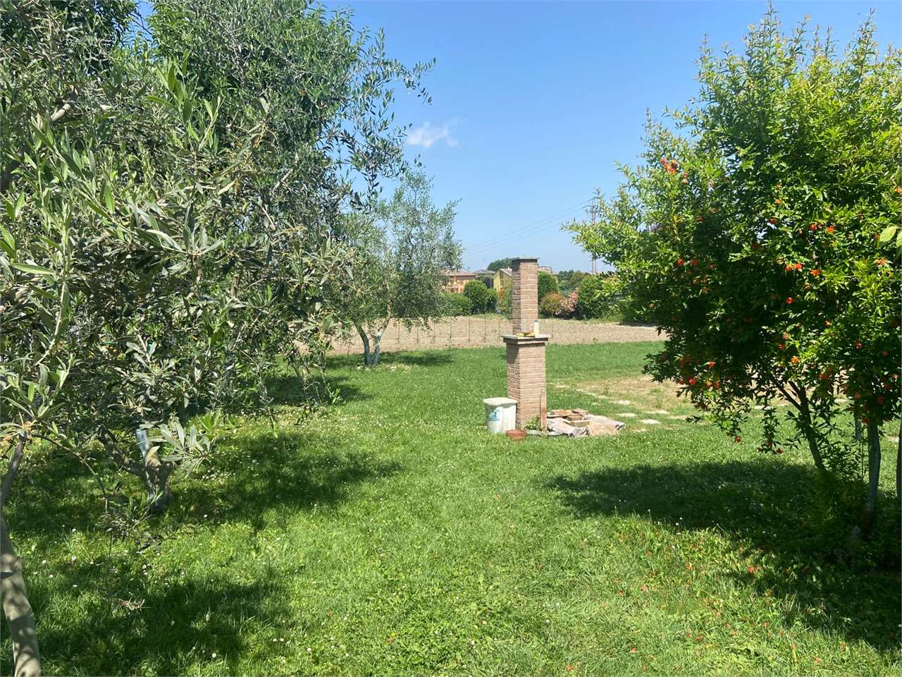 immagine annuncio 7 di 13