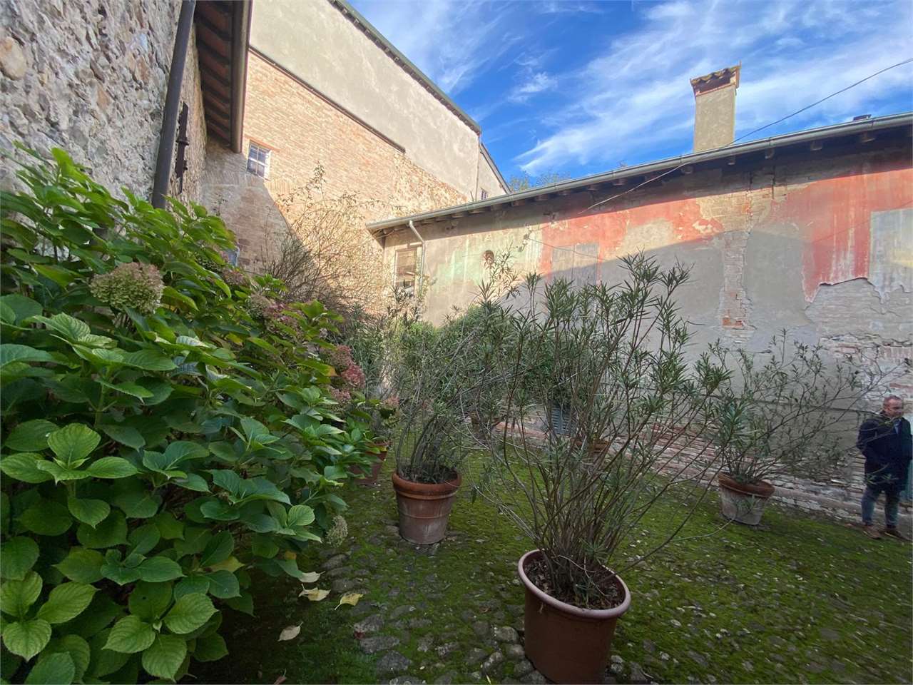 immagine annuncio 10 di 15