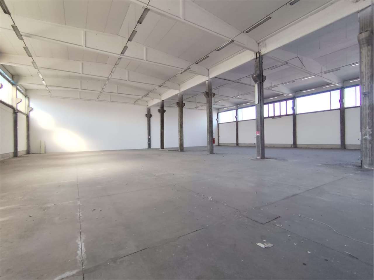 immagine annuncio 1 di 14