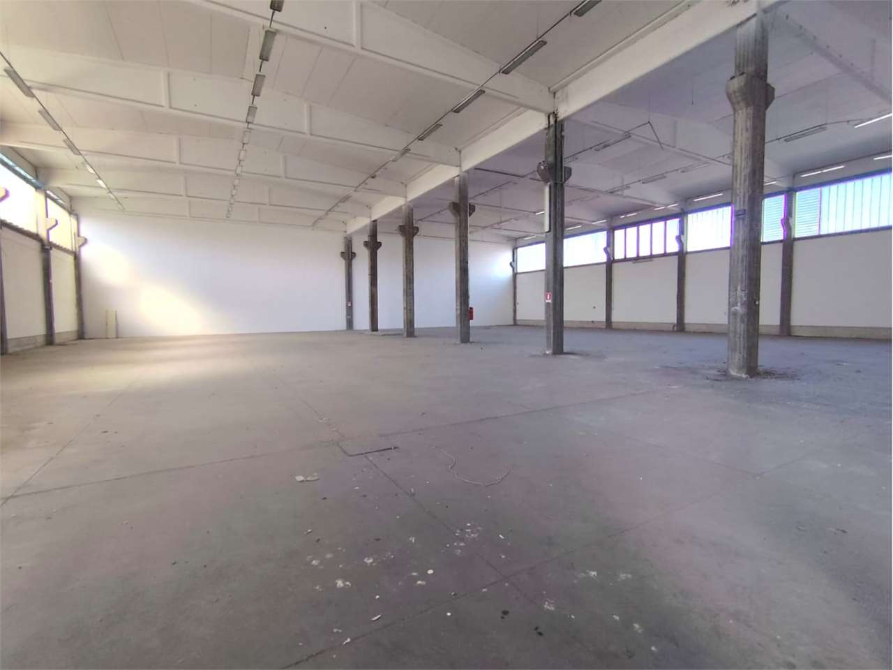 immagine annuncio 6 di 14