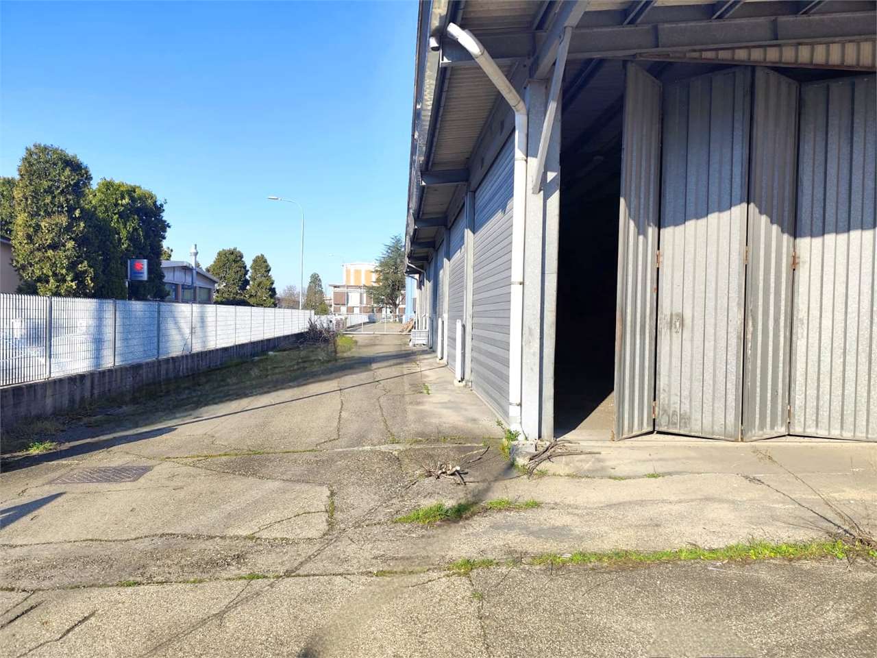 immagine annuncio 4 di 14