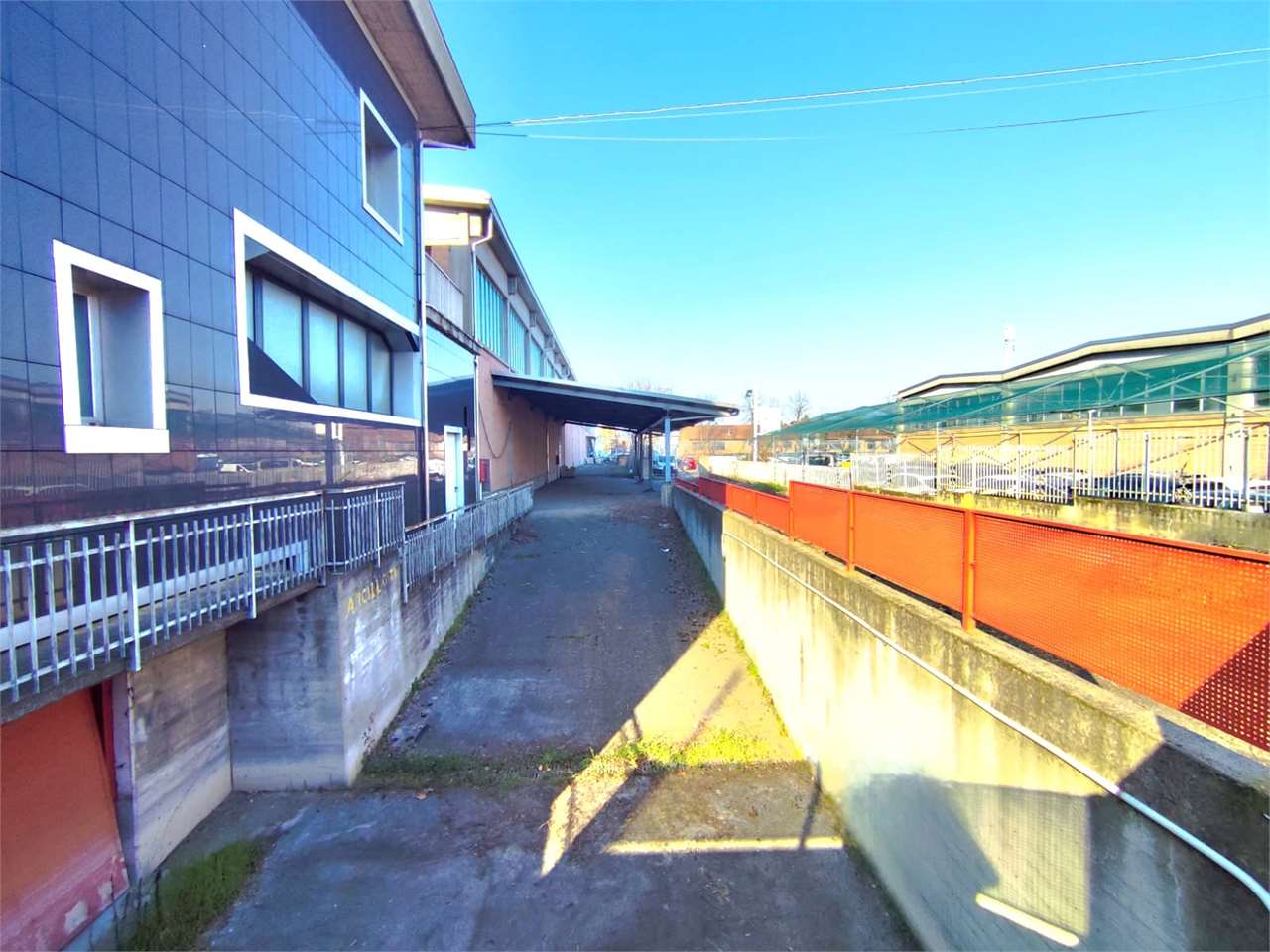 immagine annuncio 11 di 14