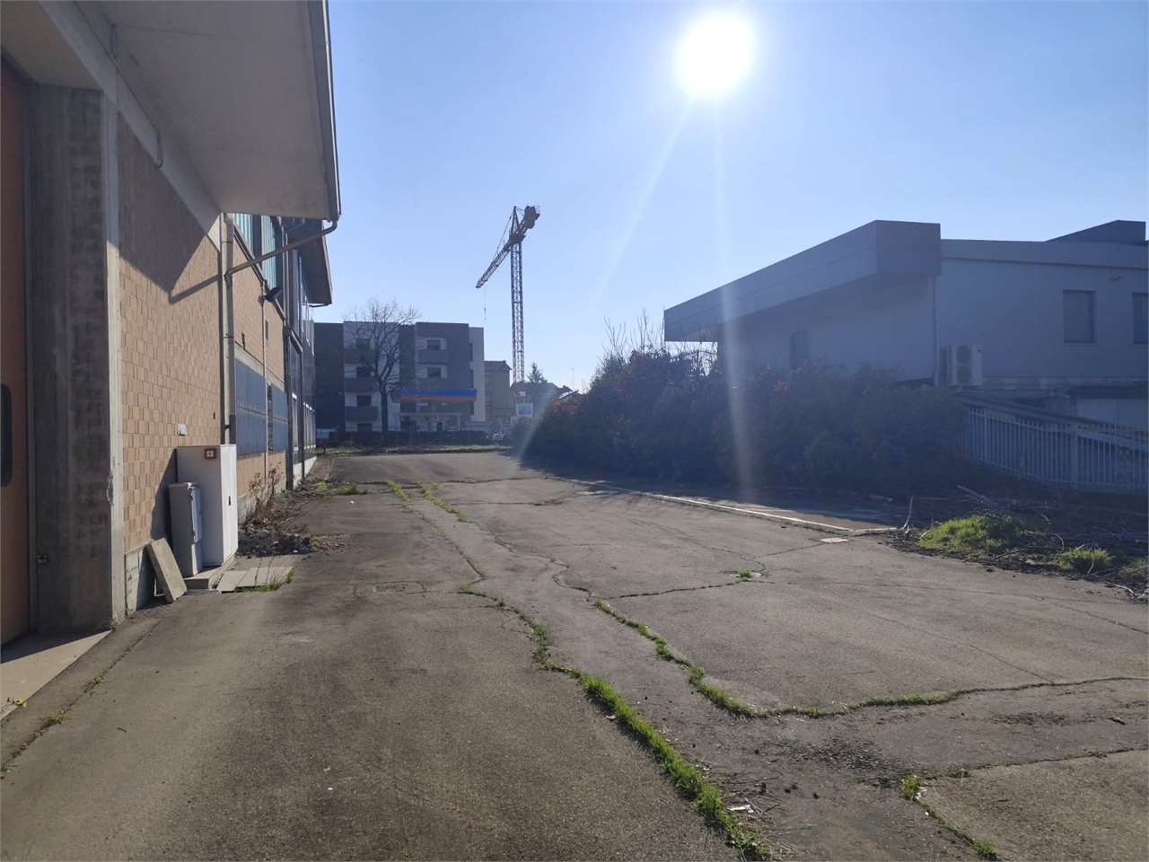 immagine annuncio 12 di 14