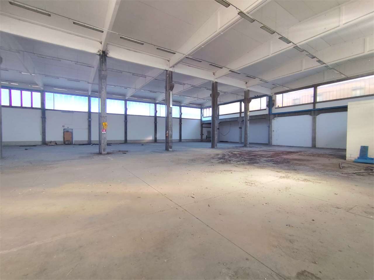 immagine annuncio 5 di 14