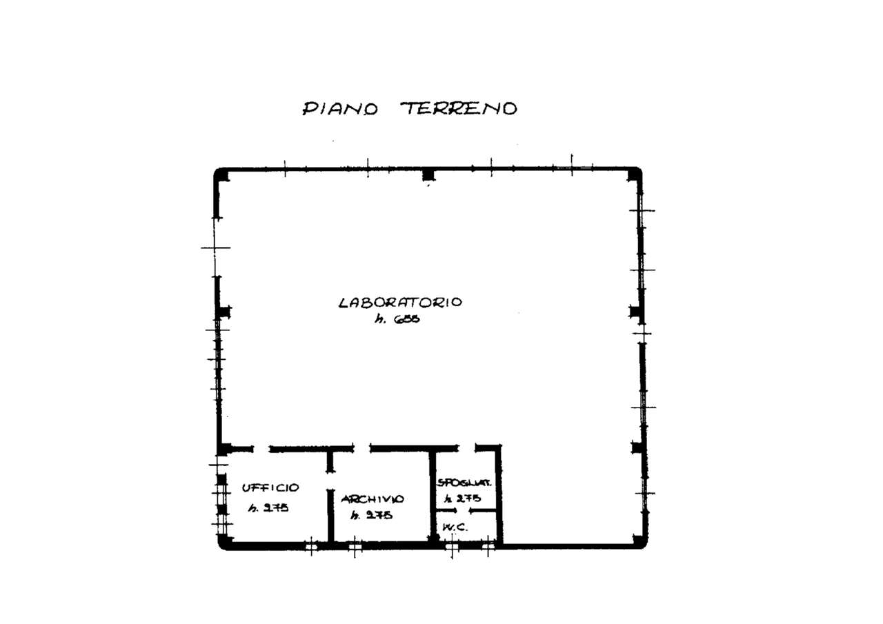 immagine annuncio 12 di 13