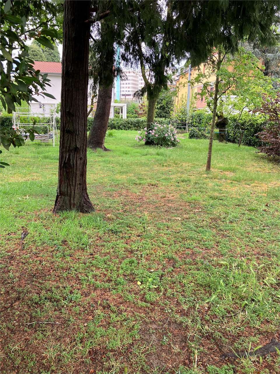 immagine annuncio 3 di 8