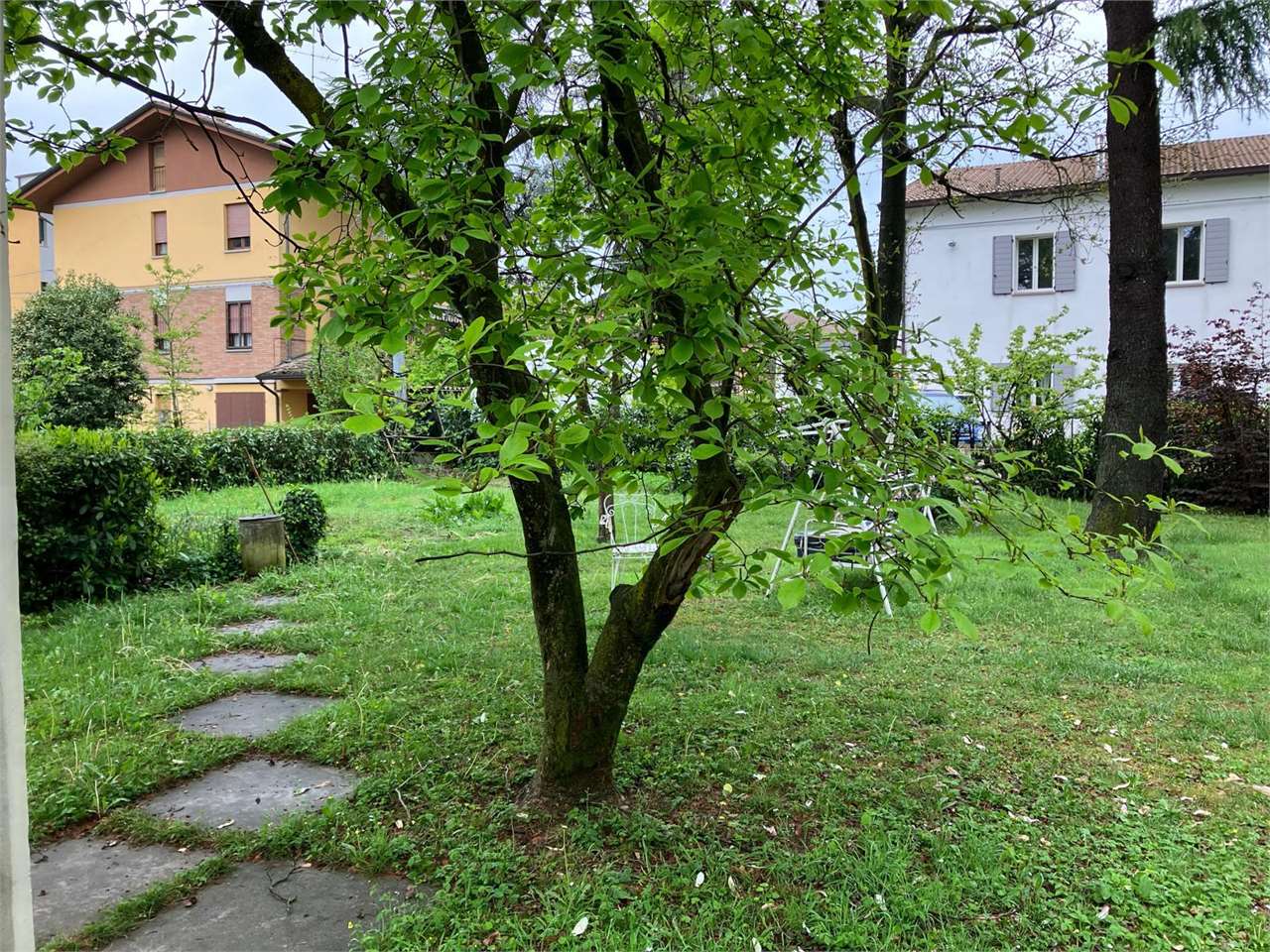 immagine annuncio 5 di 8