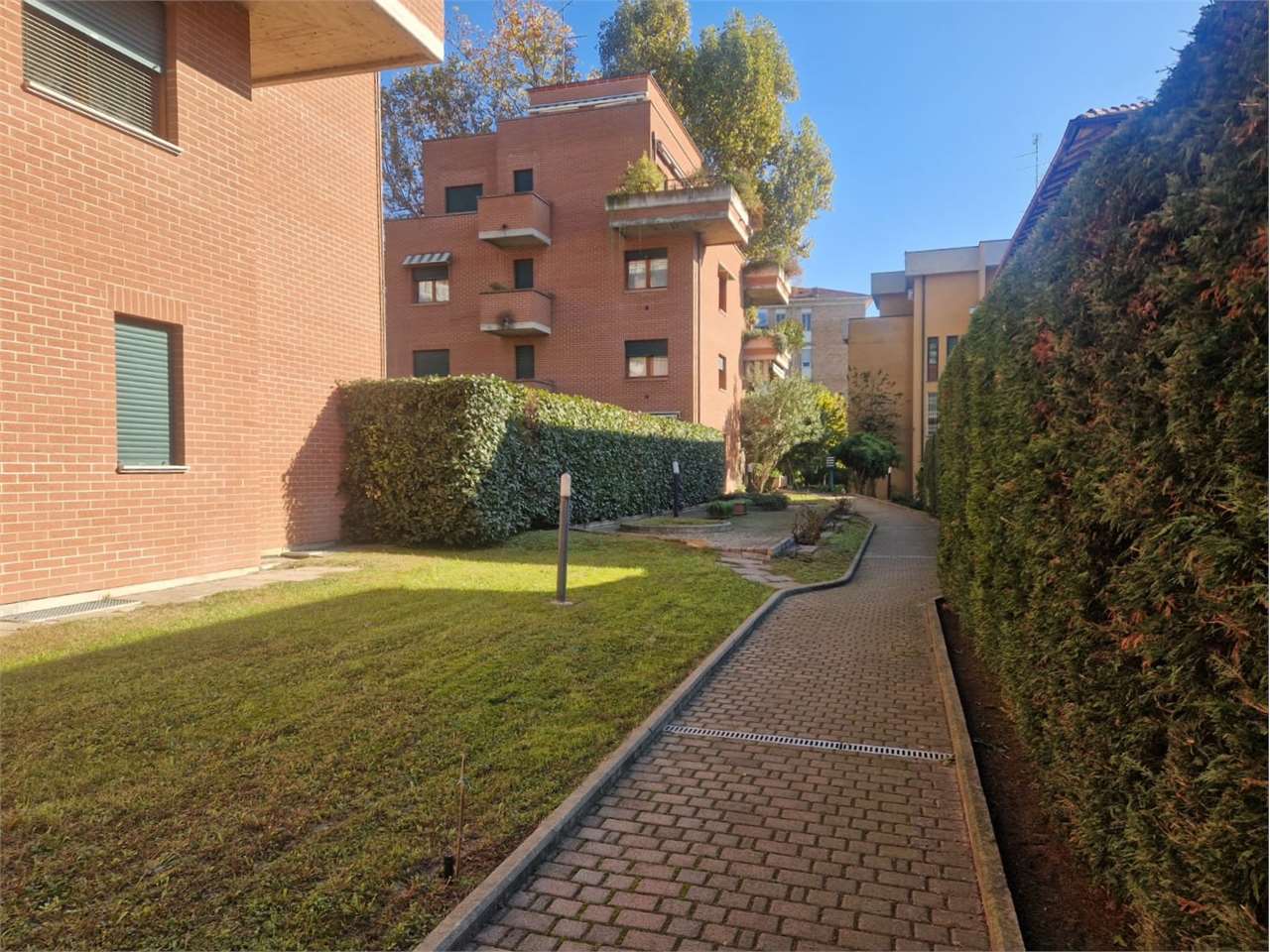 immagine annuncio 1 di 15