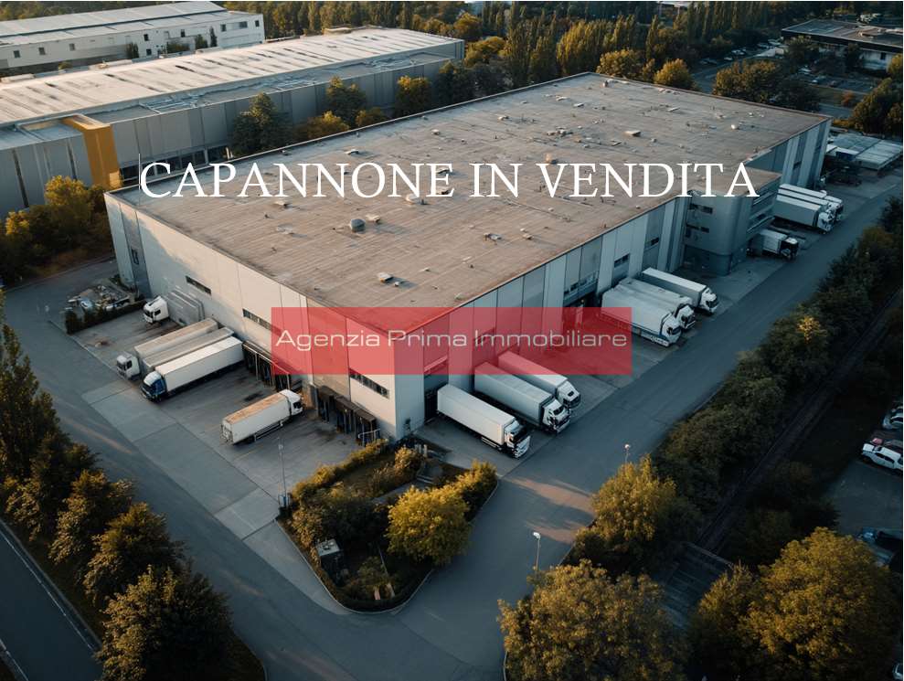 immagine annuncio 1 di 8