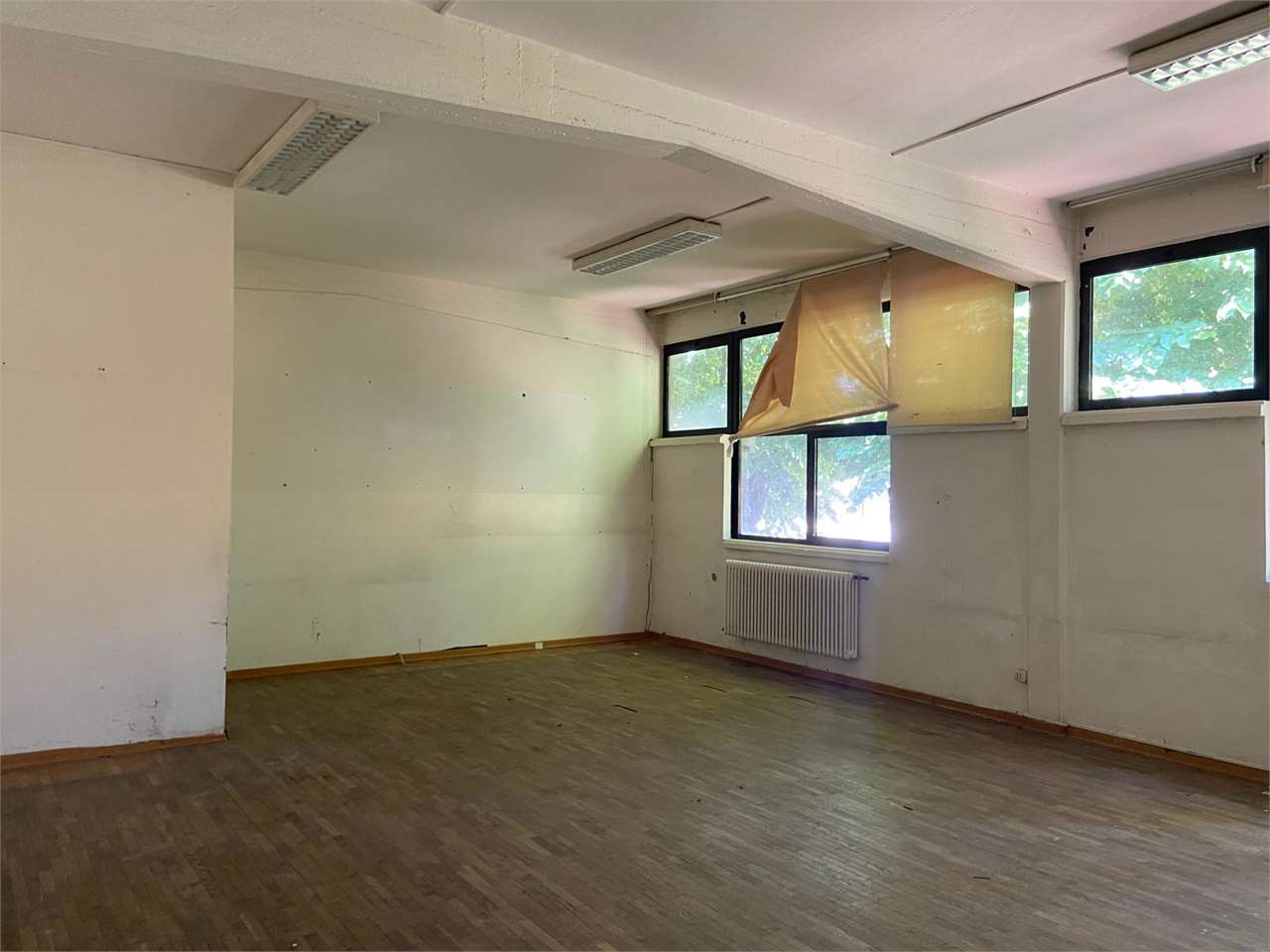 immagine annuncio 2 di 12