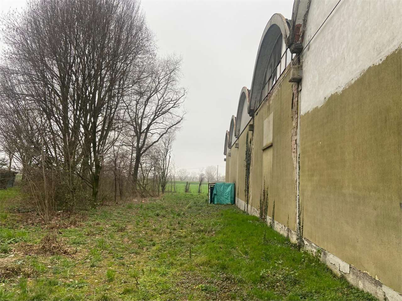 immagine annuncio 5 di 8