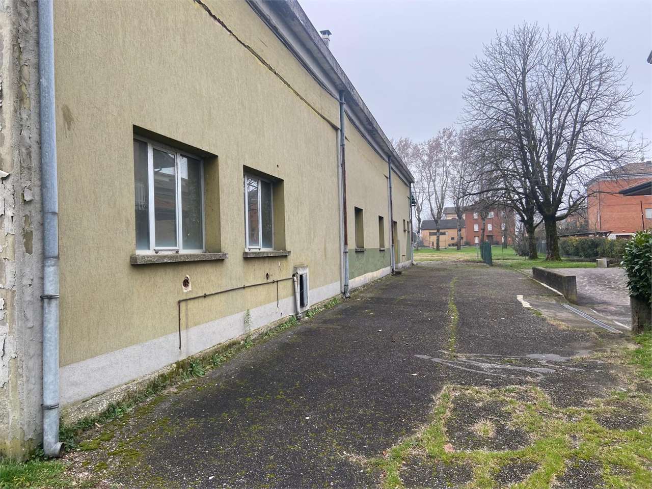 immagine annuncio 6 di 8