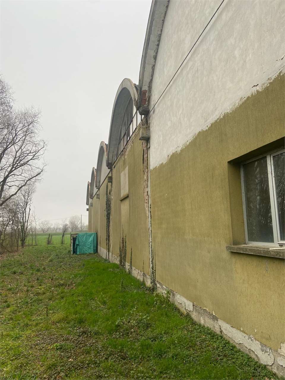 immagine annuncio 9 di 11