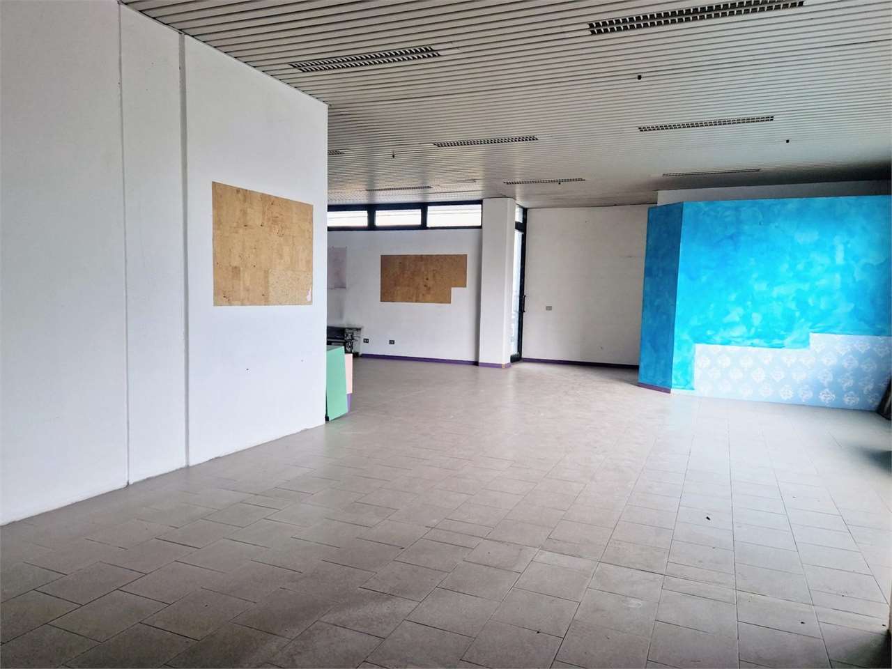 immagine annuncio 1 di 6