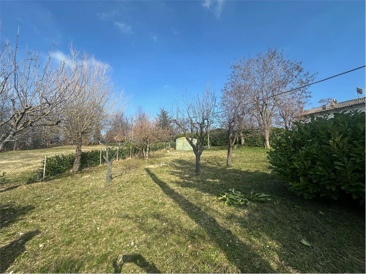 immagine annuncio 3 di 9