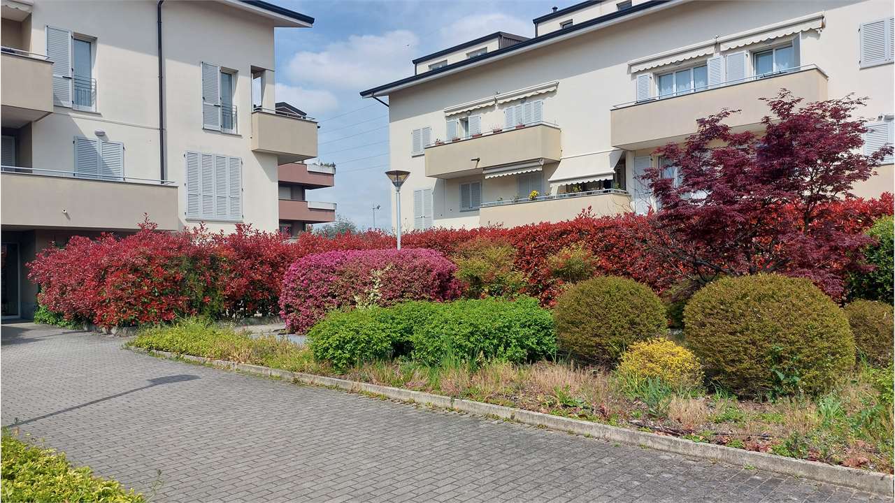 Affitto Monolocale Appartamento Cernusco sul Naviglio via la pira 7 562971
