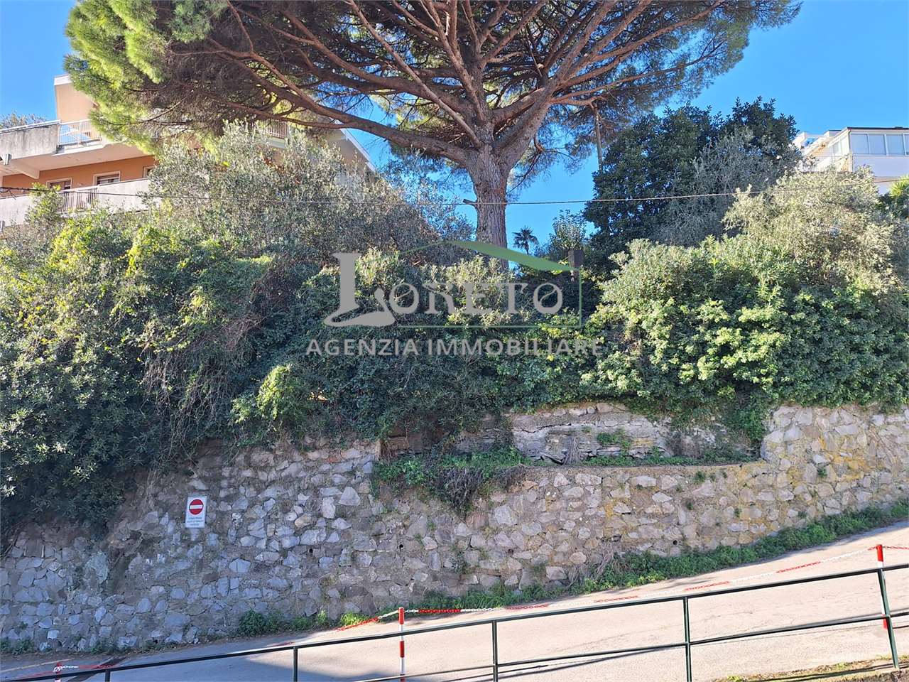 immagine annuncio 12 di 14