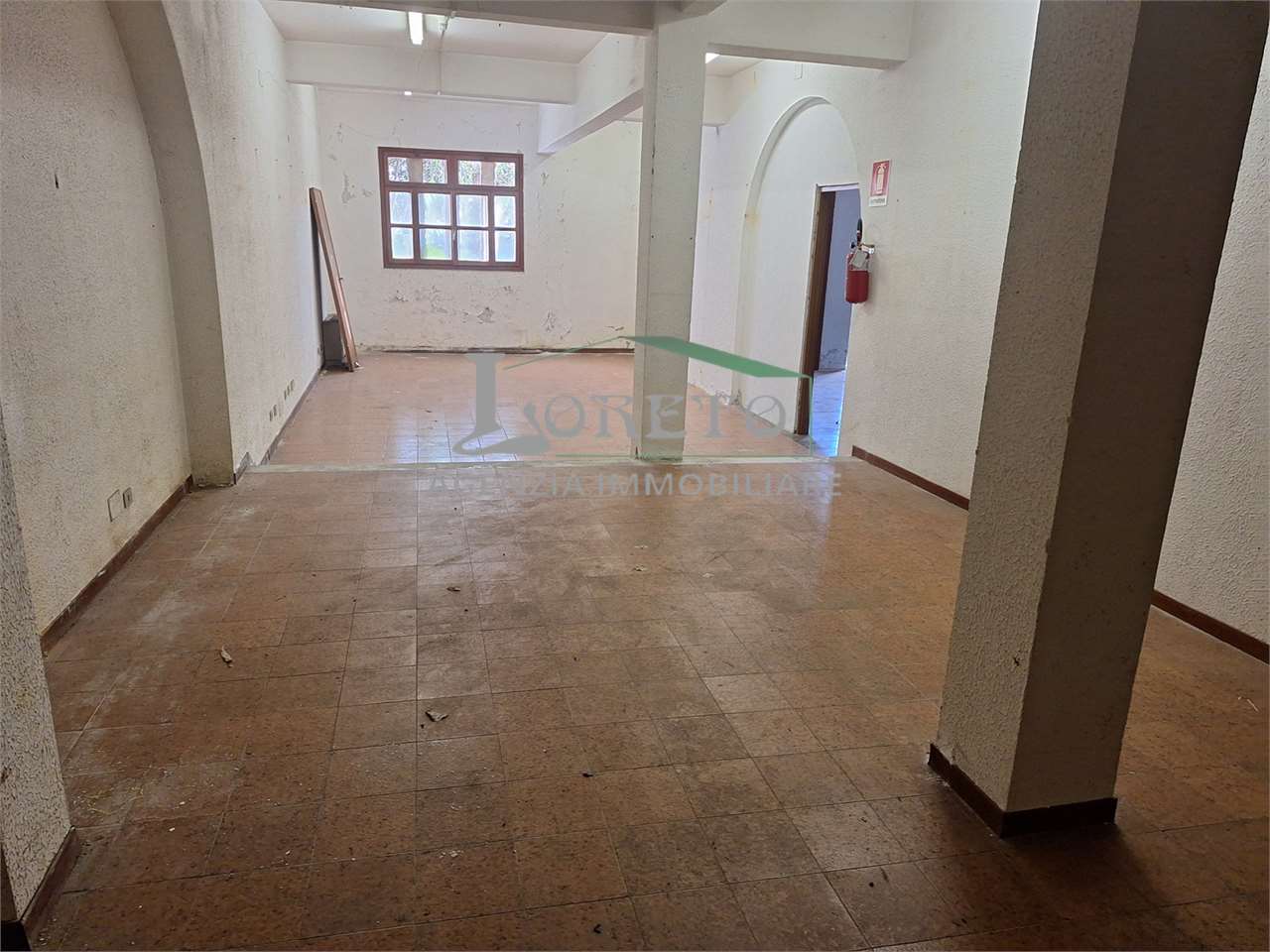 immagine annuncio 3 di 7