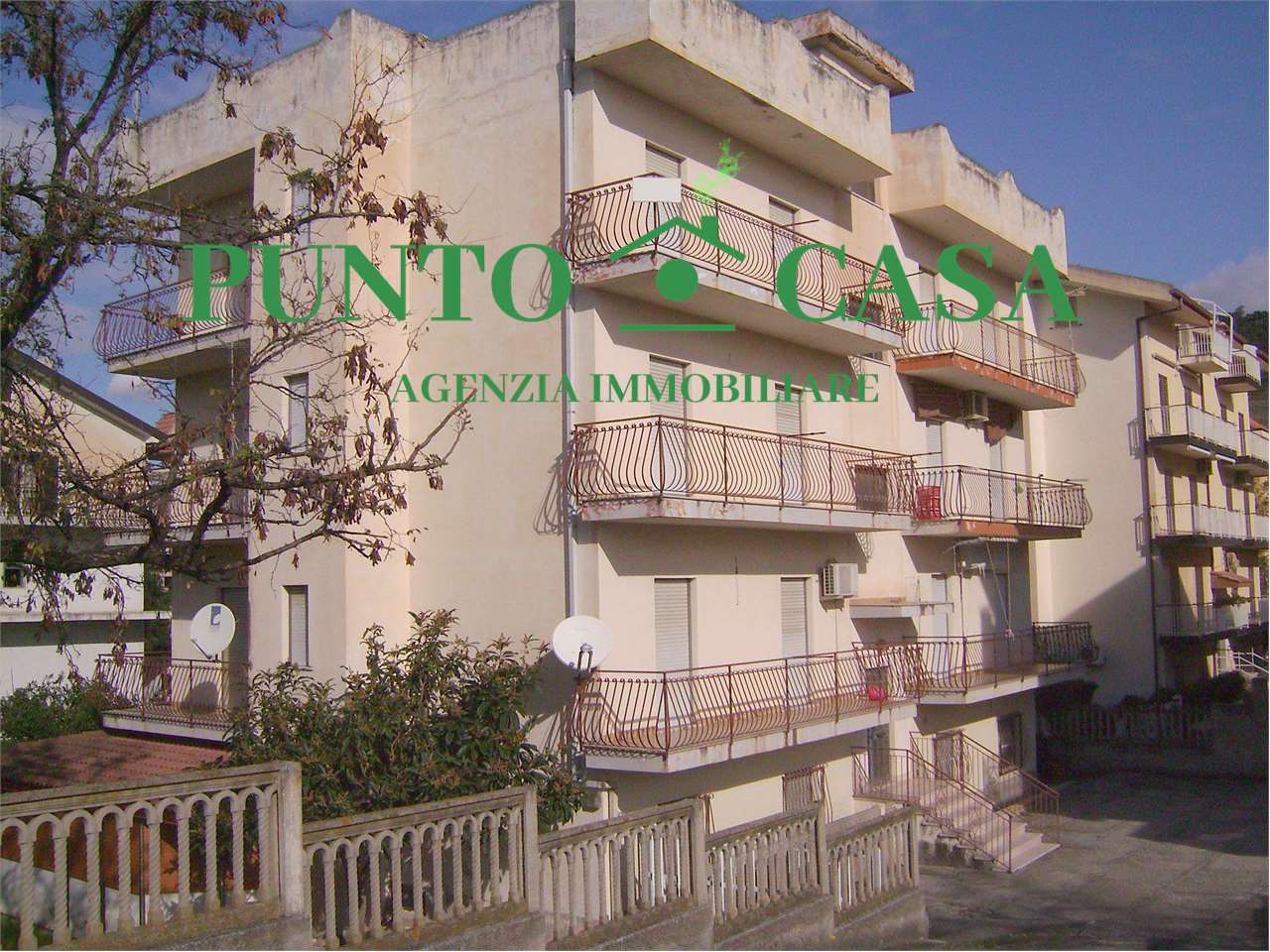 immagine annuncio 11 di 15