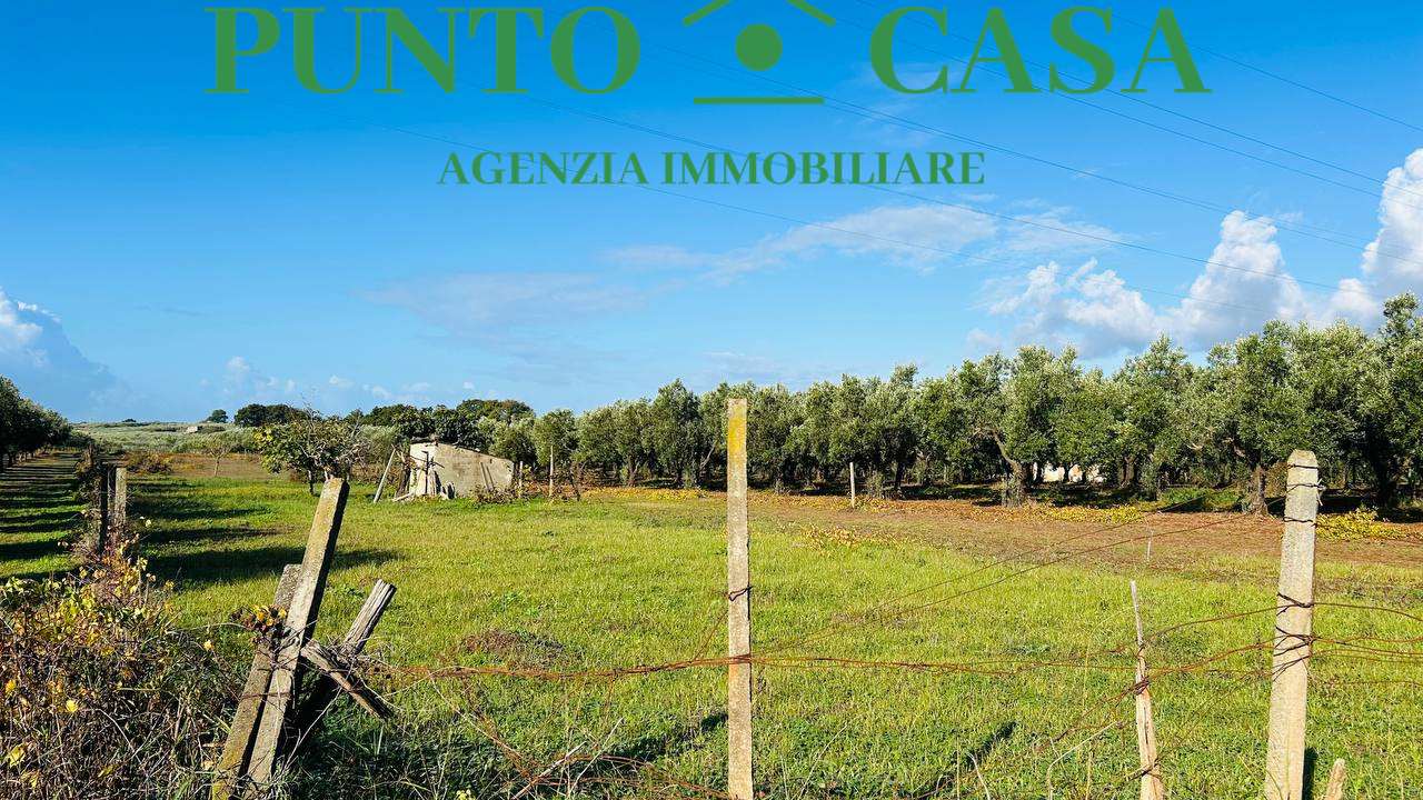 immagine annuncio 2 di 11