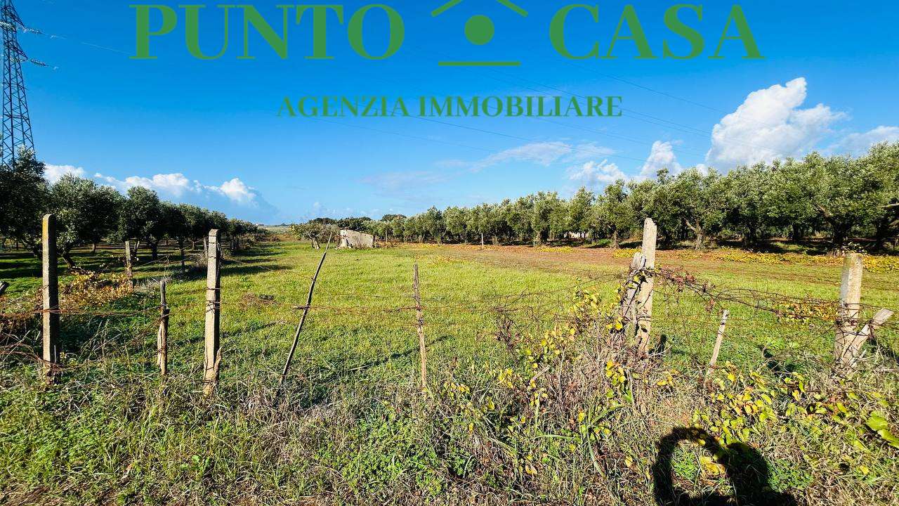 immagine annuncio 4 di 11