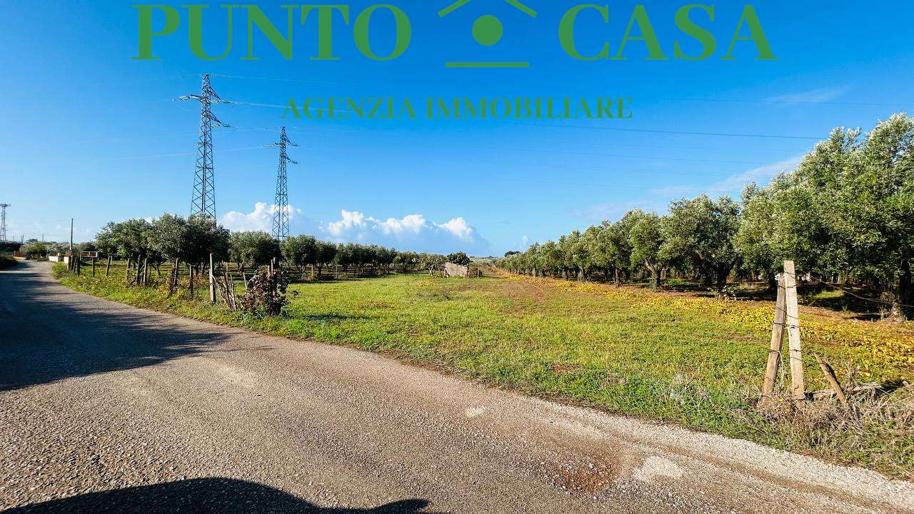 immagine annuncio 6 di 11