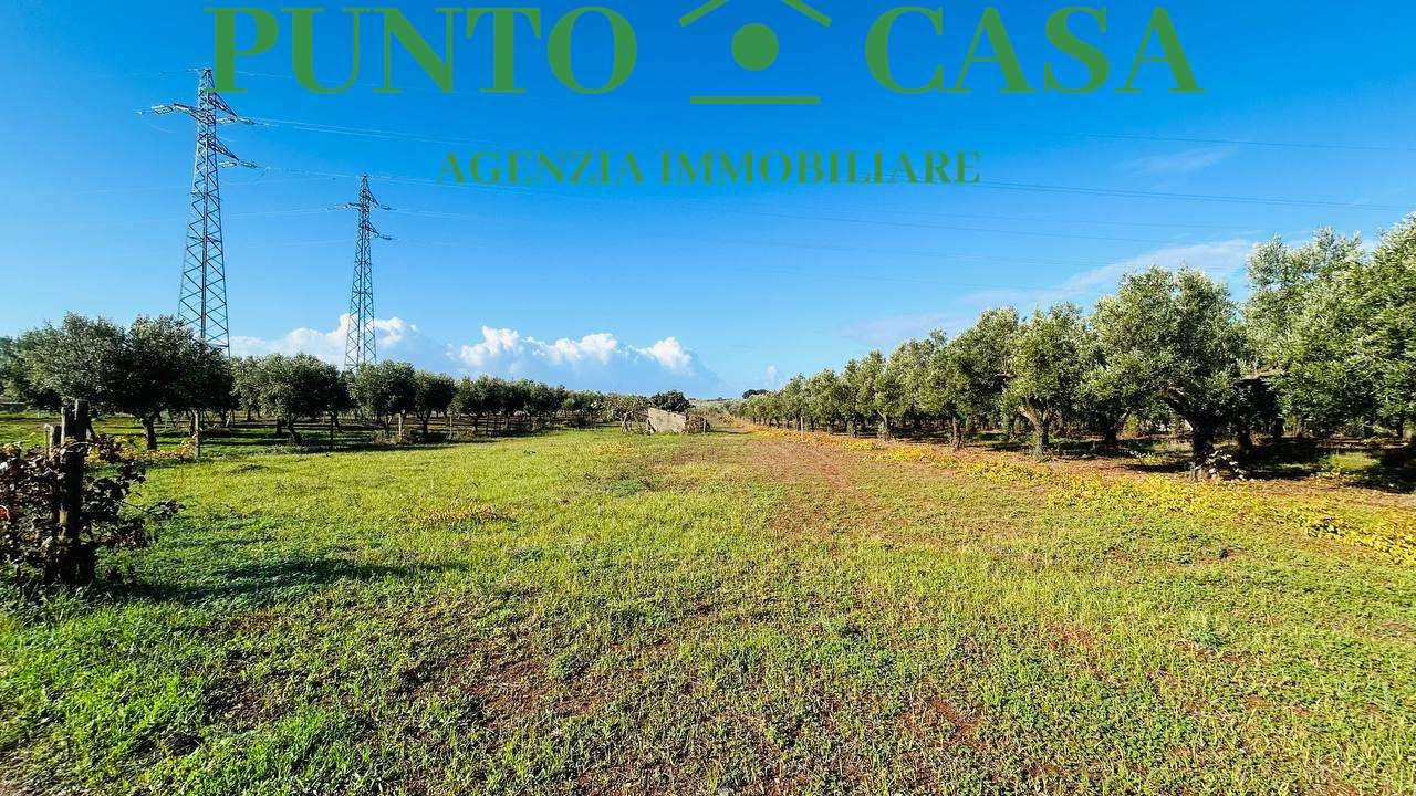 immagine annuncio 7 di 11