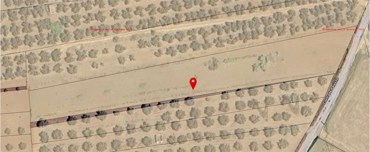 immagine annuncio 8 di 11