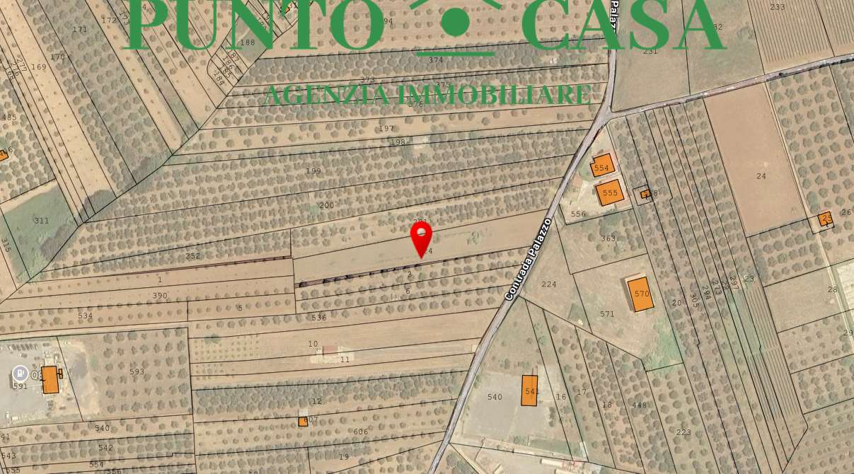 immagine annuncio 9 di 11