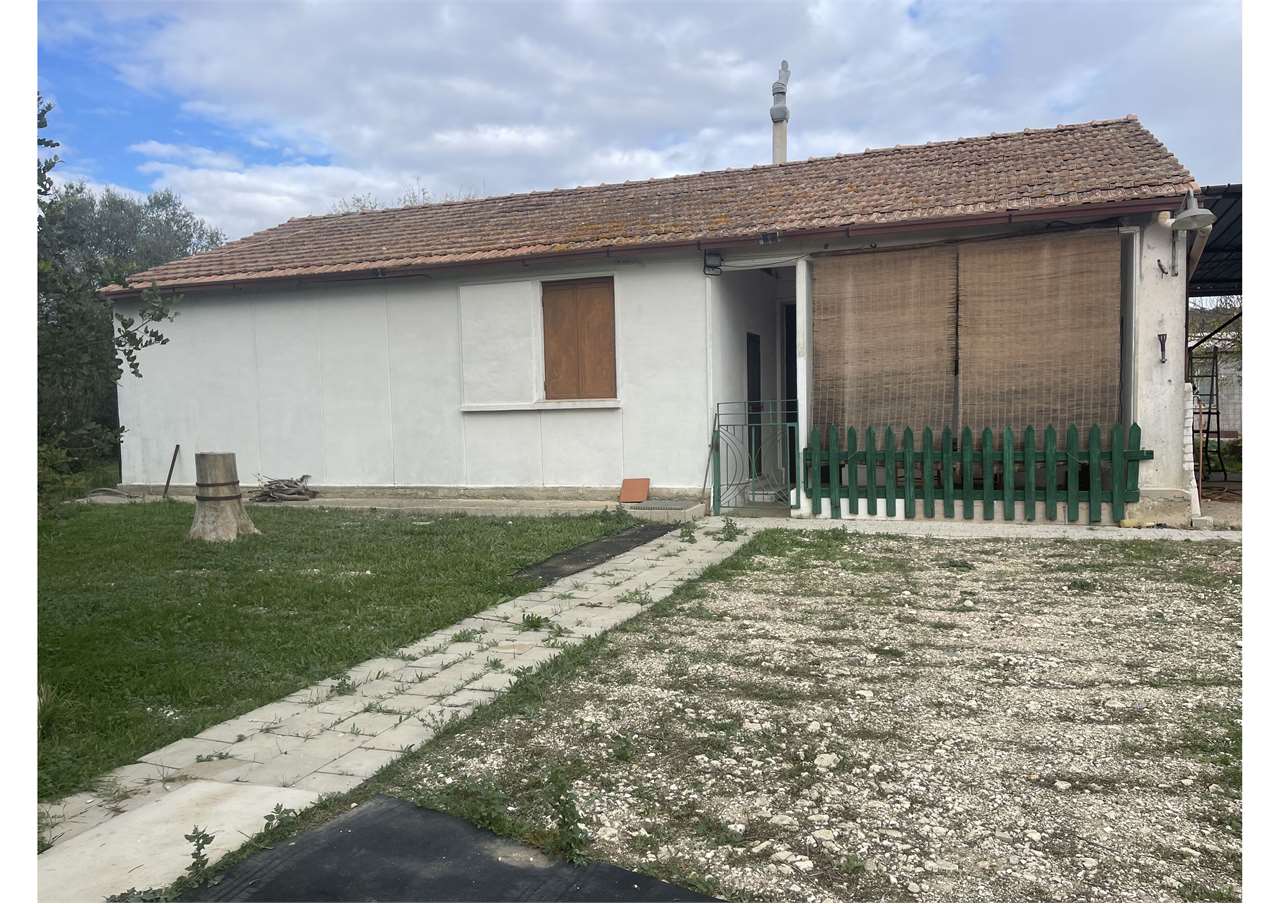 immagine annuncio 8 di 14