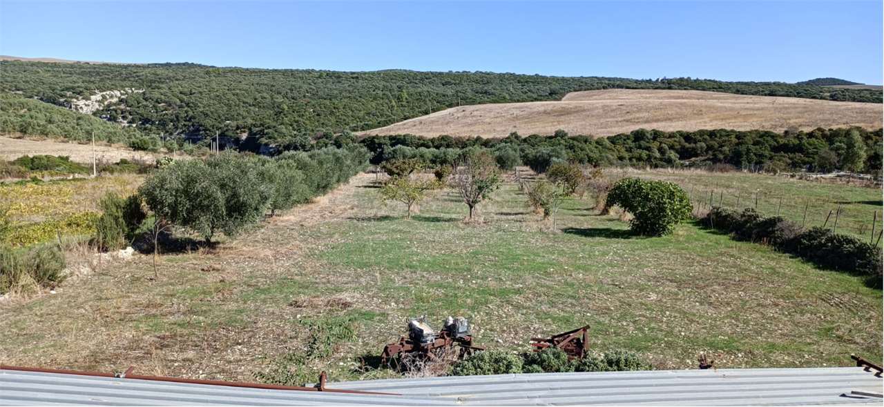immagine annuncio 9 di 14