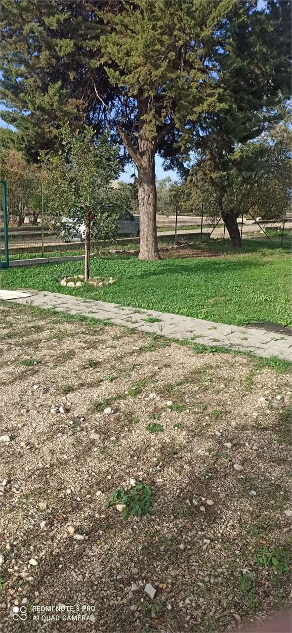 immagine annuncio 12 di 14