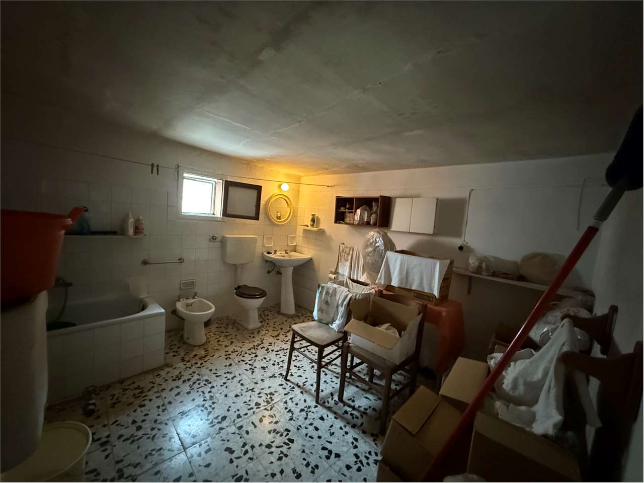 immagine annuncio 7 di 14