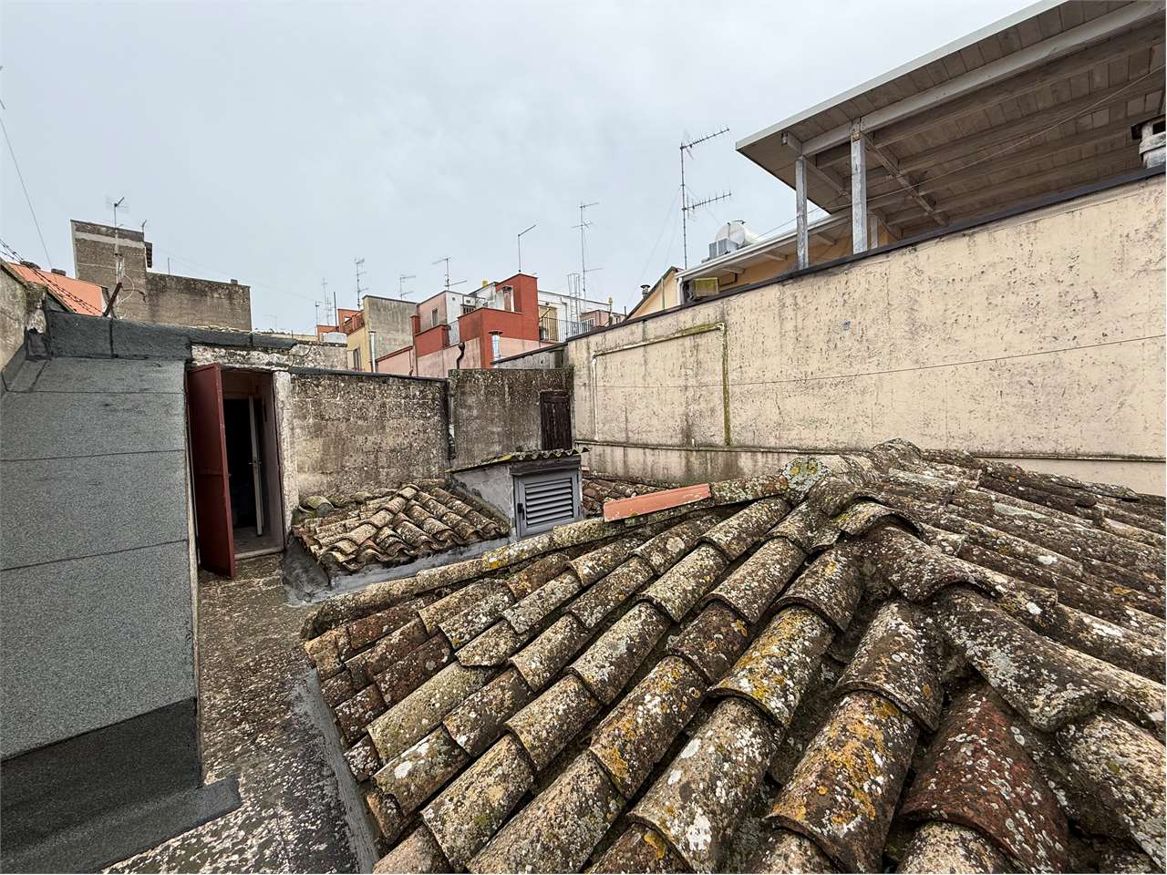 immagine annuncio 10 di 14