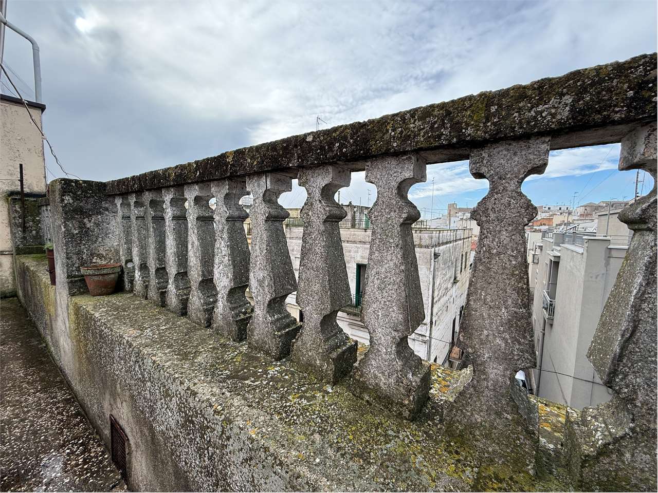 immagine annuncio 12 di 14