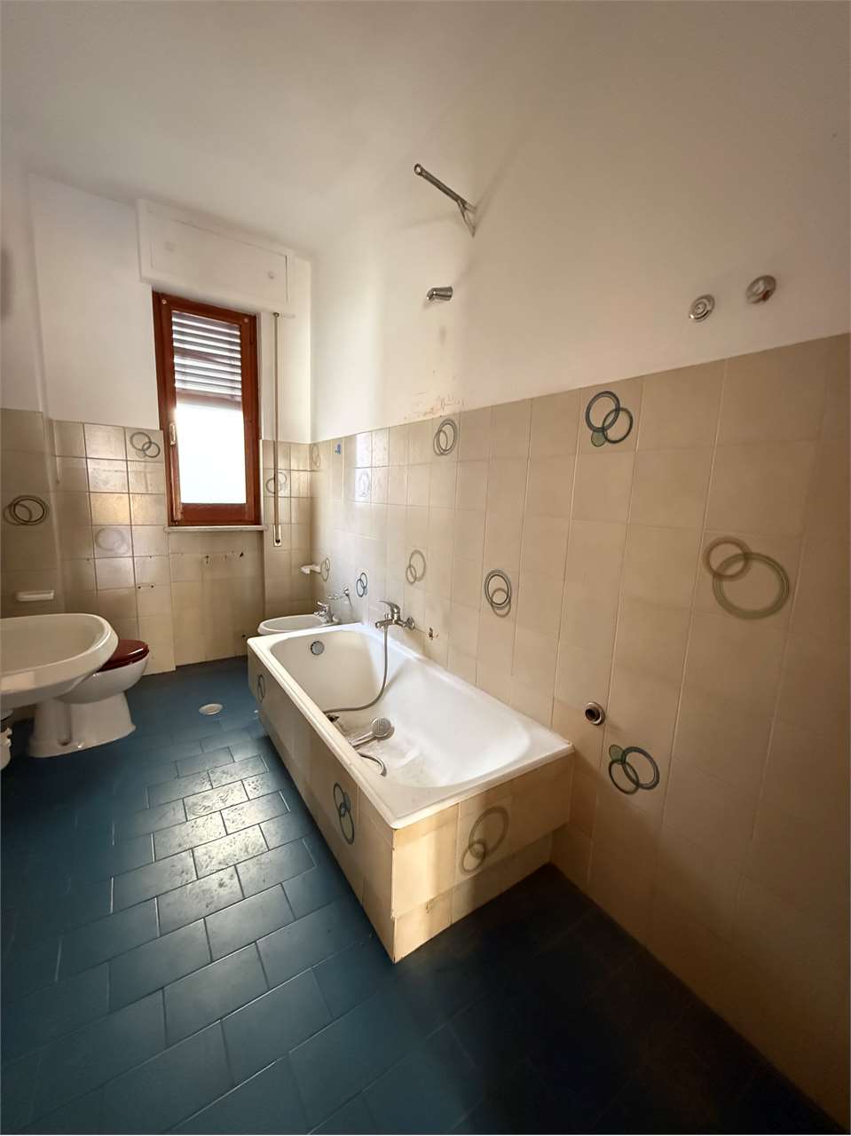 immagine annuncio 9 di 14