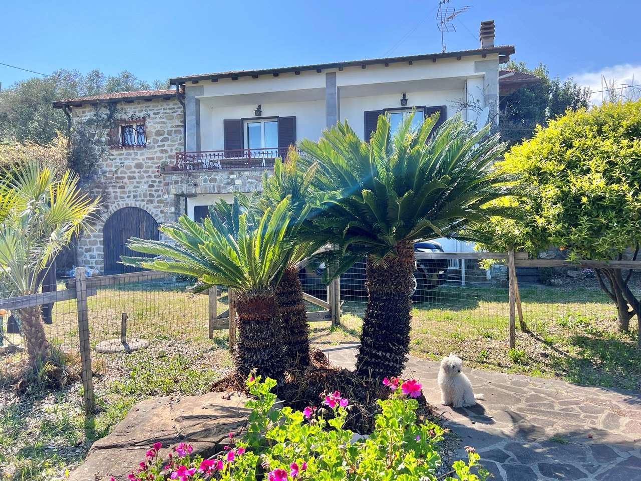 immagine annuncio 7 di 15