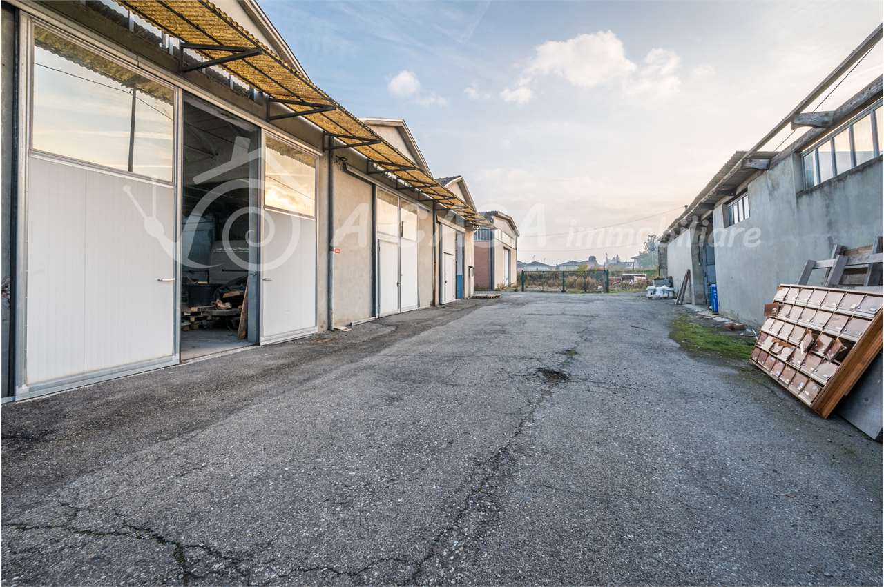 immagine annuncio 6 di 8