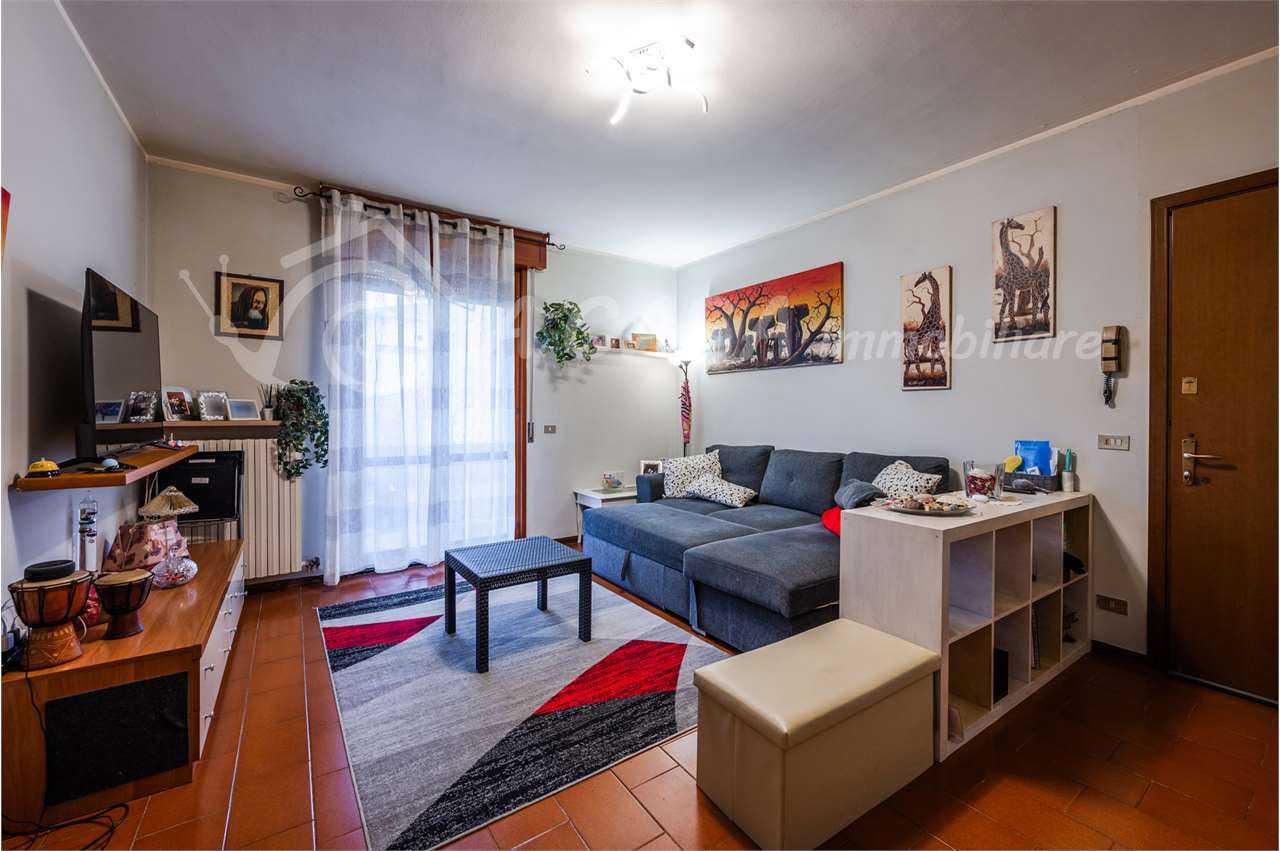 immagine annuncio 1 di 15