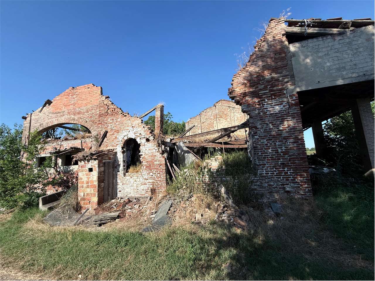 immagine annuncio 4 di 6