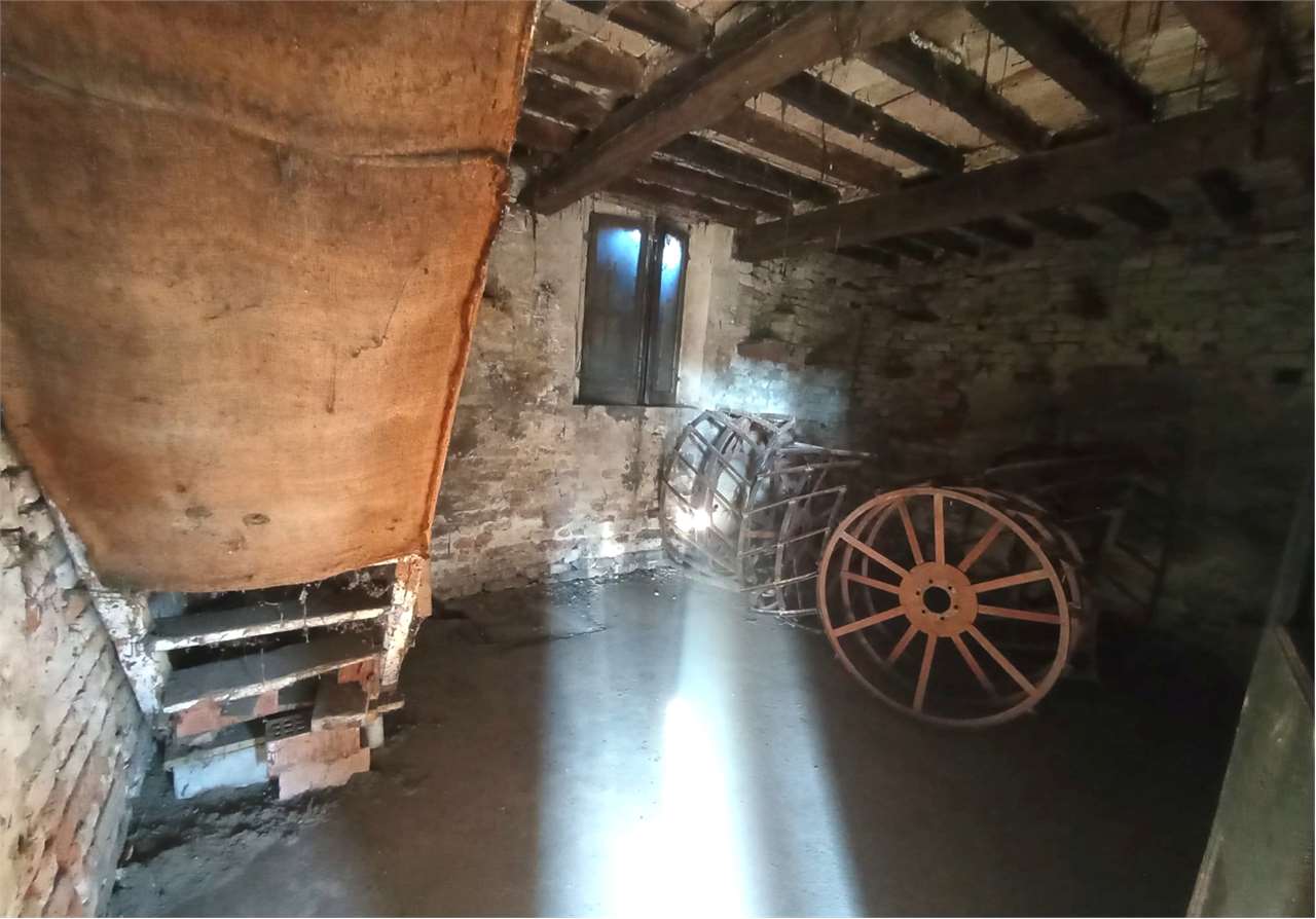 immagine annuncio 5 di 14