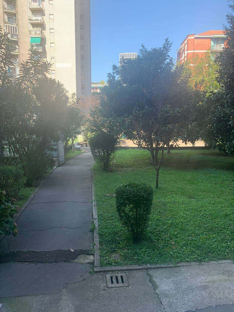 immagine annuncio 5 di 14