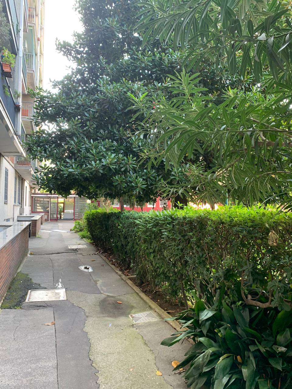 immagine annuncio 3 di 13