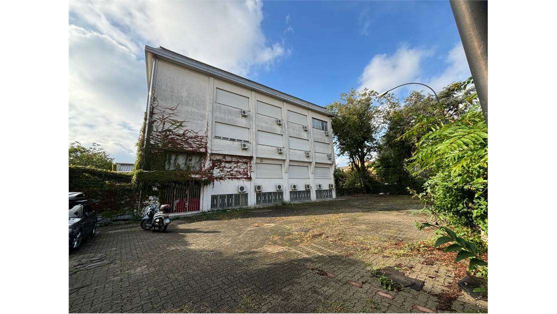 immagine annuncio 1 di 12