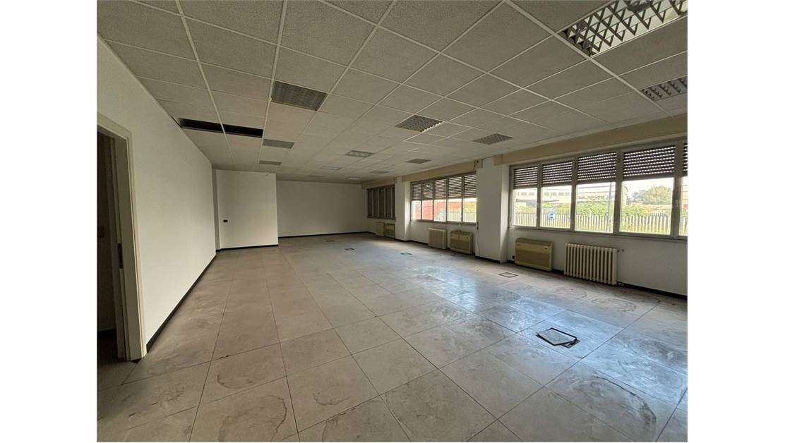 immagine annuncio 9 di 12