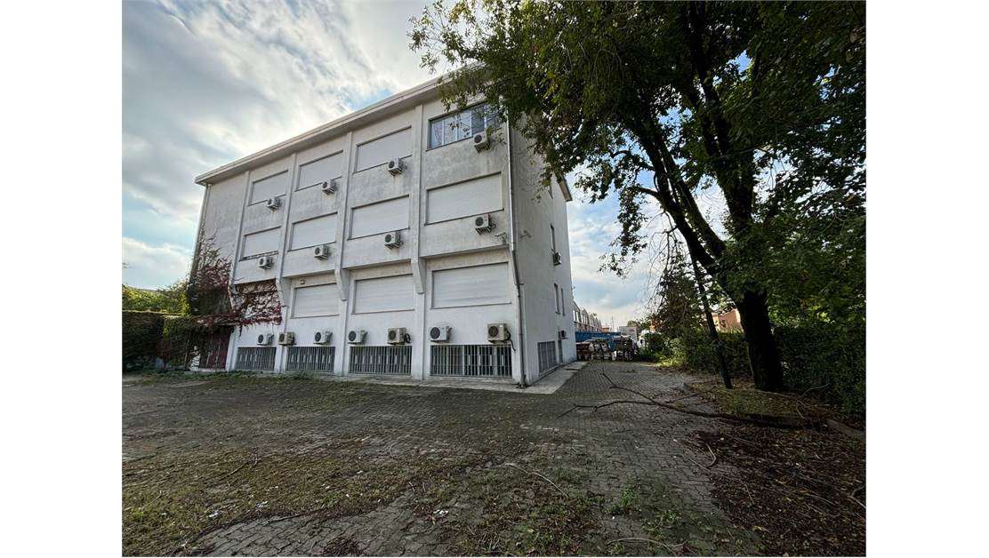 immagine annuncio 1 di 12