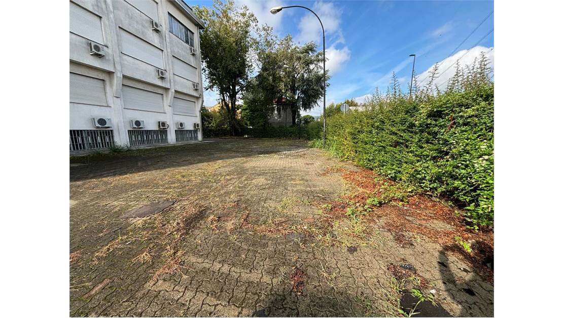 immagine annuncio 10 di 12