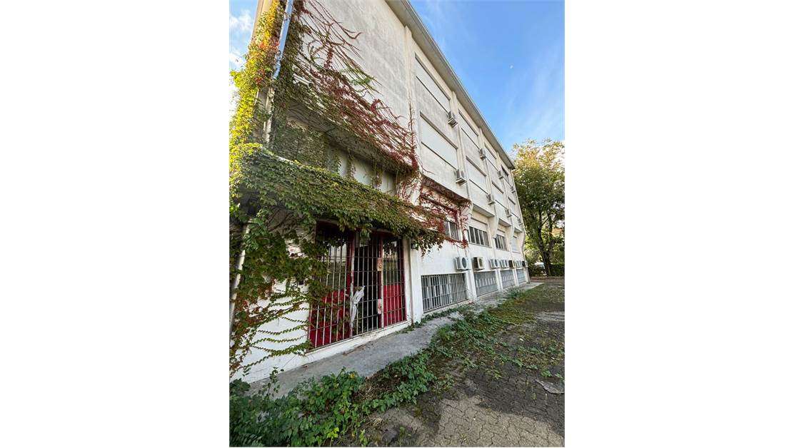 immagine annuncio 11 di 12