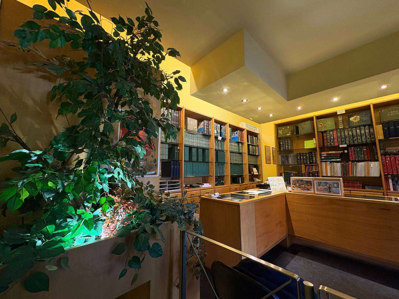 immagine annuncio 7 di 13